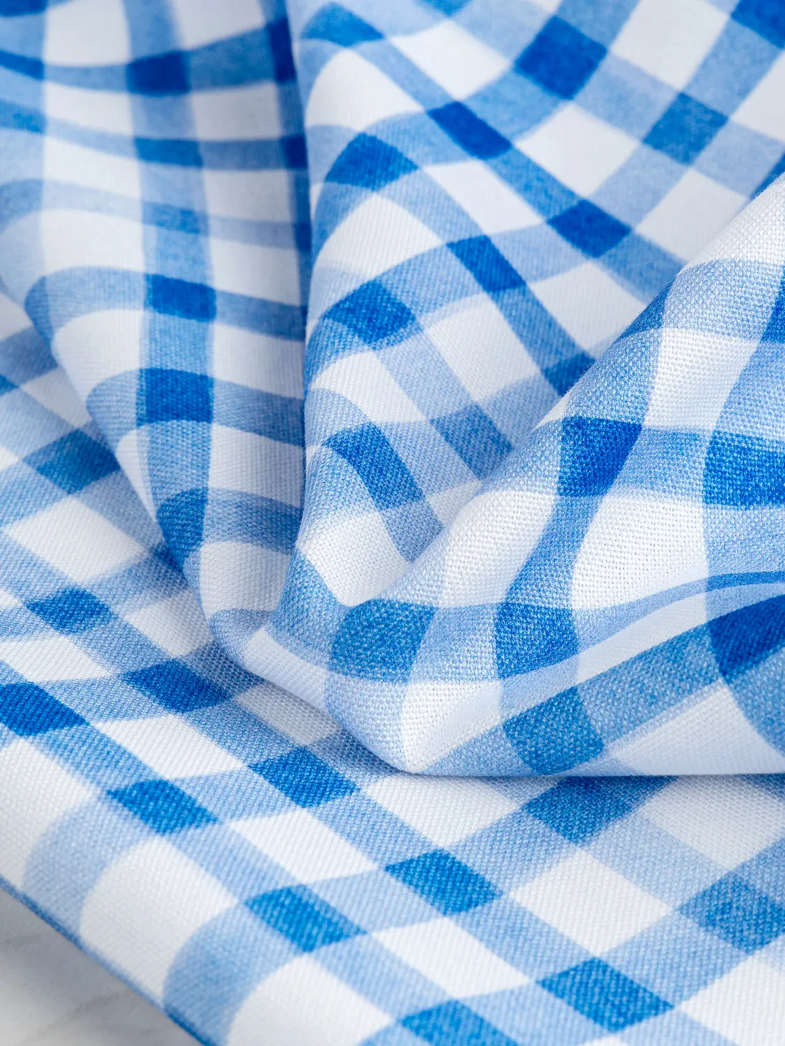Swing Check Print Organic Cotton Canvas - White   Blue - Swatch